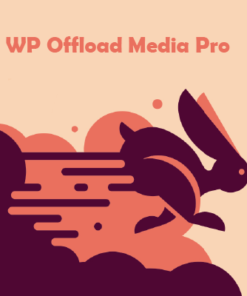 WP Offload Media